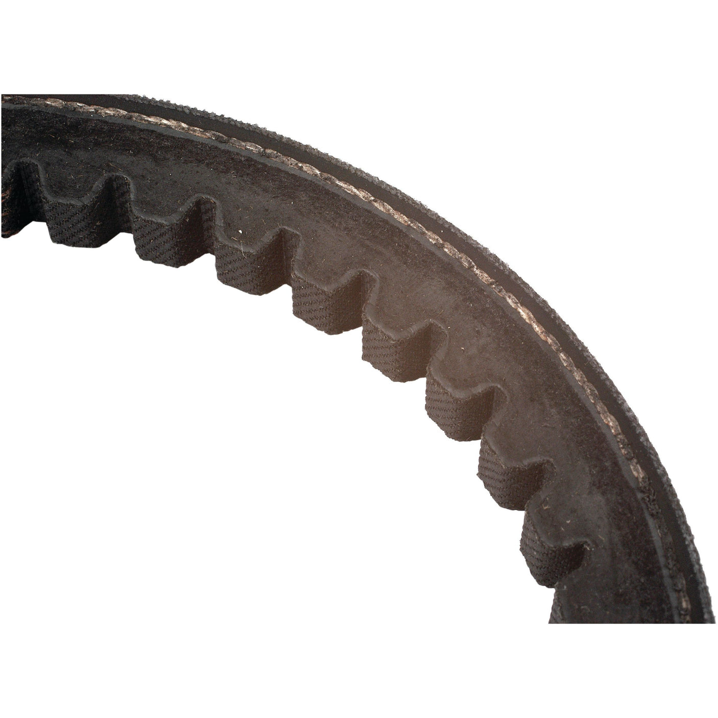 Close-up of a toothed rubber drive belt, specifically the Cogged Raw Edge Belt - XPA Section - Belt No. XPA1282 (Sparex Part No. S.139174) by Sparex, showing the teeth used for meshing with gear wheels and the fiber reinforcement inside.