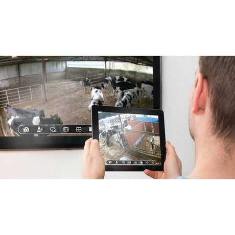 A person holds a tablet displaying a live video feed of cows in a barn, captured by the Sparex NLA Surveillance FarmCam HD System (UK) | Sparex Part No.S.150548, while a larger screen on the wall shows the same scene from this advanced surveillance system.