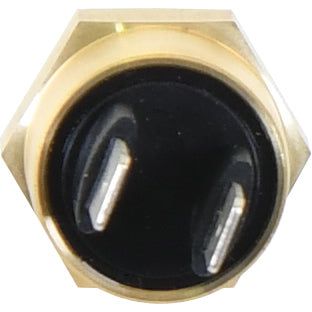 Coolant Temperature Sensor
 - S.151160 - Farming Parts