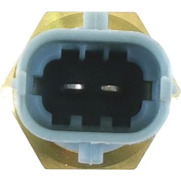 Close-up of an electrical connector featuring a blue and gold housing, displaying two interior metallic contacts—reminiscent of the precision found in a Sparex Coolant Temperature Sensor (Part No. S.151163).