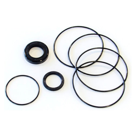 A Trale Orbital Motor Seal Kit OMM by Sparex (Sparex Part No. S.153118), featuring six black O-rings of varying sizes and one black gasket, is arranged on a white background.