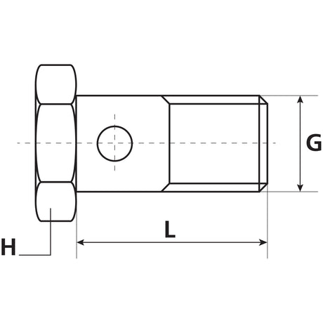 Technical drawing of the Banjo Bolt BSP 3/8'' - 29mm (Sparex Part No. S.1760629) with dimensions labeled H, L, and G. The side view displays a hexagonal head and outlines measurements for height, length, and diameter in accordance with BSP 3/8'' specifications from the Sparex brand.