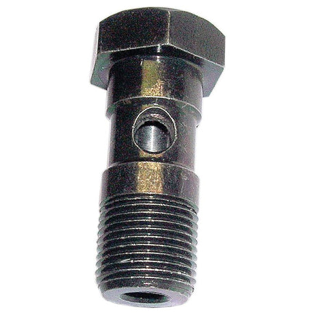 A close-up of a metallic Banjo Bolt (Sparex Part No.S.1768) featuring a hexagonal head, cylindrical body, and a hole through its center, commonly found in Sparex parts for Massey Ferguson machinery.