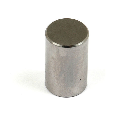 A Sparex Hydraulic Piston (Part No. S.17742) is a cylindrical metal object with a flat top and smooth surface, resembling a piston.