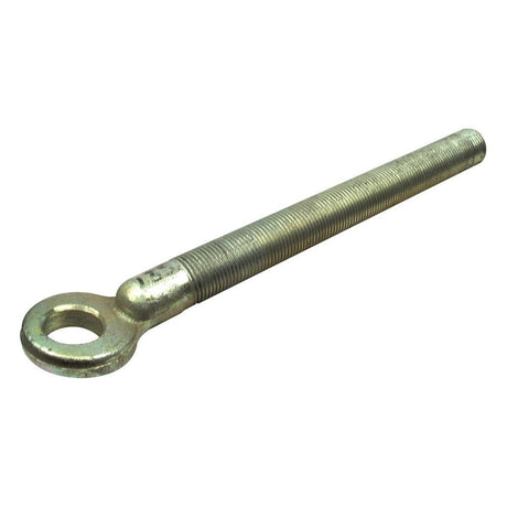 The Stabiliser Eye Bolt - 3/4'' UNF - RH from Sparex, featuring a threaded shaft and an open 12° circular eye at the top, is ideal for use in Massey Ferguson machinery.