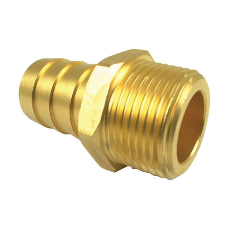 The Hose Tail - 1'' (Sparex Part No. S.18499) is a brass hose barb fitting featuring a threaded BSP thread end and a ridged hose tail, ideal for Sparex applications.