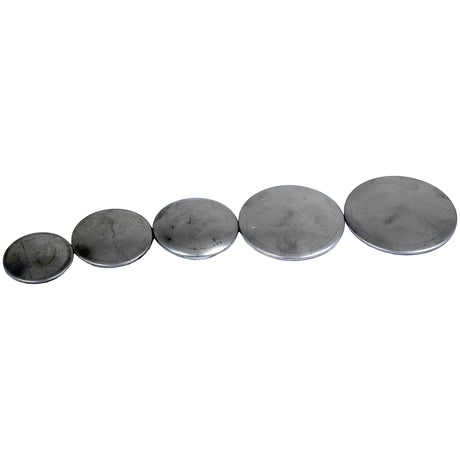 Five Core Plug - 1 1/4'' discs, all dished type and made of mild steel from the Sparex brand (Sparex Part No.S.19174), arranged in a row from smallest to largest.