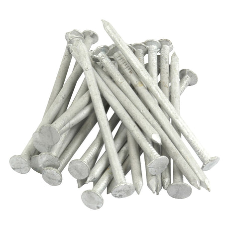 A pile of Galvanised Knurled Top Nails from Sparex, with a diameter of 3.175mm and a length of 75mm, featuring round, flat heads and sharp points (Sparex Part No. S.20655).