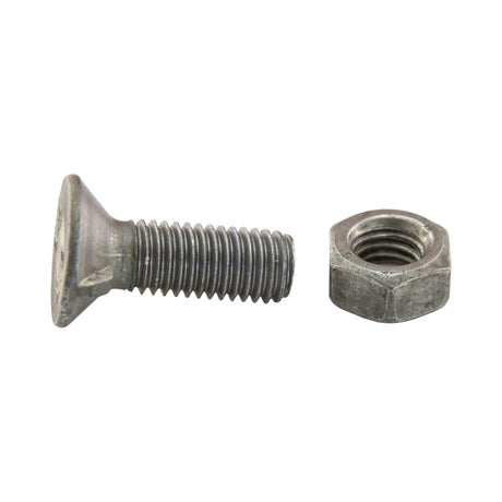 A Countersunk Head Bolt 2 Nibs With Nut (TF2E) by Sparex, measuring M12 x 50mm and featuring a tensile strength of 8.8, is placed alongside the corresponding nut on a white background.