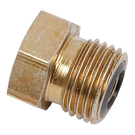 Close-up of a Sparex Hydraulic Adaptor Blanking Plug ORFS 9/16'' UNF (Sparex Part No. S.20863), featuring a brass hex head with male threads and a rubber washer, typically used for sealing or closing off a 9/16'' UNF pipe fitting.