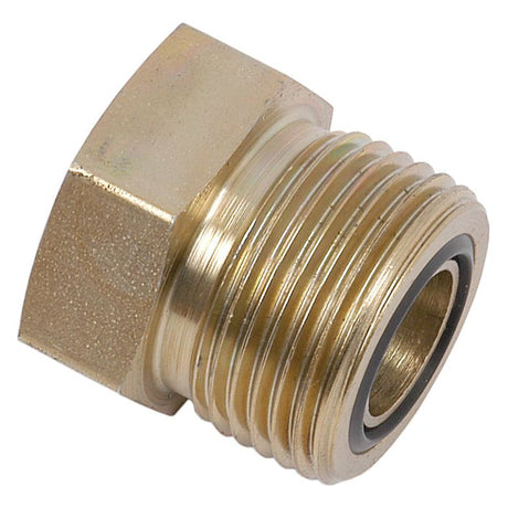 The Hydraulic ORFS Blanking Plug 1''UNF by Sparex, also known as Sparex Part No. S.20866, features external male threads and an internal sealing ring, making it perfect for sealing or capping off pipe ends. Compatible with Tube End ORFS systems, this model ensures reliable and durable performance.