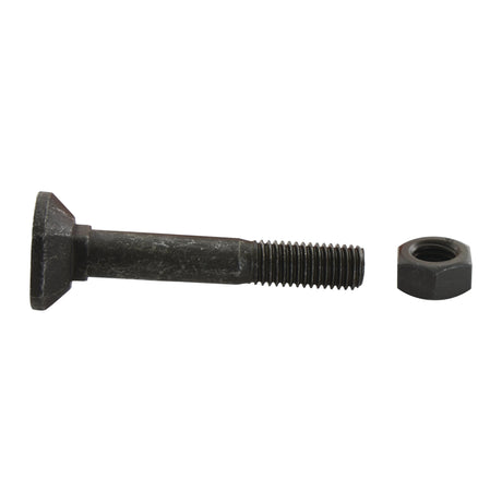 A Sparex Rectangular Head Bolt With Nut (TRCC) - M12 x 90mm, Tensile strength 12.9, and part number S.21417 are placed side by side on a white background.