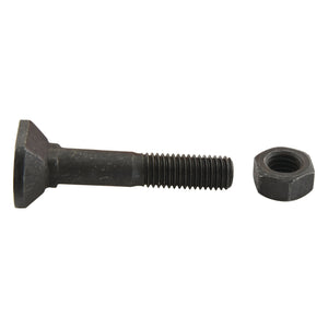 Rectangular Head Bolt With Nut (TRCC) - M12 x 60mm, Tensile strength 12.9 (8 pcs. Agripak)
 - S.21474 - Farming Parts