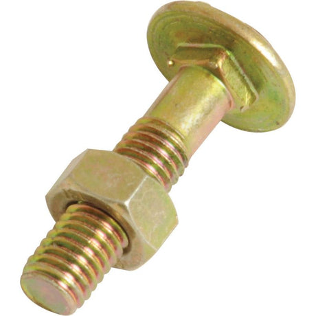 A close-up image of a Metric Carriage Bolt and Nut, M8x40mm, with a flat, rounded head and a hexagonal nut threaded onto the bolt, adhering to DIN 603/555 standards by Sparex (Part No. S.21707).