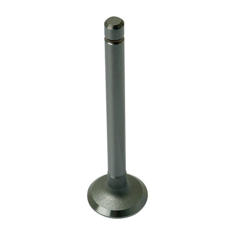 The Sparex Exhaust Valve Standard (Sparex Part No. S.22455) is a single metallic valve featuring a flat, circular base and cylindrical stem, compatible with Kubota engines and isolated on a white background.