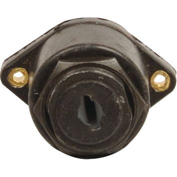 Close-up of the Ignition Switch & Key (Agripak 1 pc.) | Sparex Part No.S.22482, a black, two-hole, surface mount, Lucas type keyhole grommet with a circular opening in the center by Sparex.