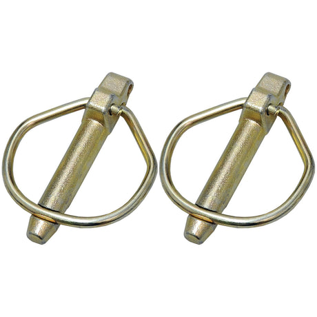 Two metallic, cylindrical Rűbig Safety Linch Pins with attached wire loops, displayed side by side on a white background, ideal for Standard Duty applications. Each pin measures Ø9.5mm x 46mm and is part of the Sparex S.22537 Agripak (2 pcs.).