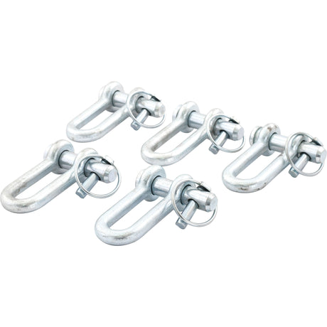 Five identical Sparex D Shackles (Pin⌀19mm, Jaw Width: 21mm - S.229) are arranged in a neat row on a white background, each with threaded pins and safety clips.