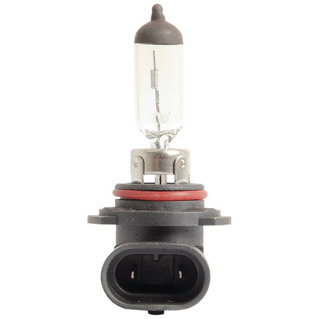 A clear glass tube, metal base, and dual-prong connector characterize this halogen light bulb designed for HB4 compatibility. It is the Sparex Light Bulb (Halogen) HB4, 12V, 4W, P22d 90° (Sparex Part No.S.24413).