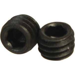 Two black hex socket set screws with a cup point, M6x5mm (DIN 916), placed side by side, demonstrating the robust build typical of Sparex Metric Socket Setscrews (Part No. S.2612) with a tensile strength of 14.9.