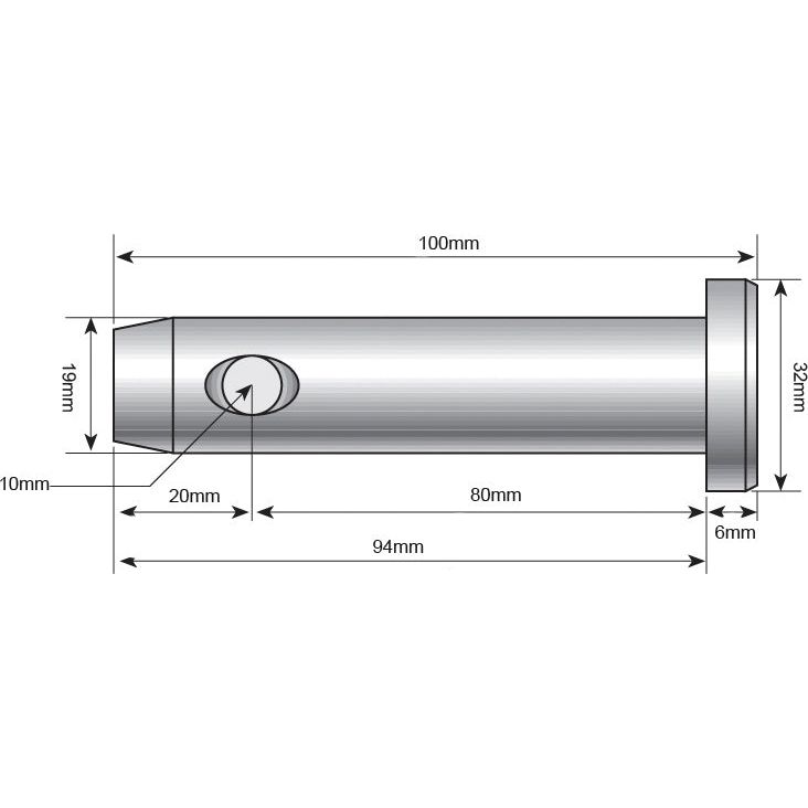 A technical drawing of a cylindrical metal component, resembling the Sparex Loader pin 19x80mm Cat.1 - S.2631, with dimensions: 100mm length, 22mm width, 19mm narrow end width, 6mm depth, and a side hole positioned 80mm from the flat end.