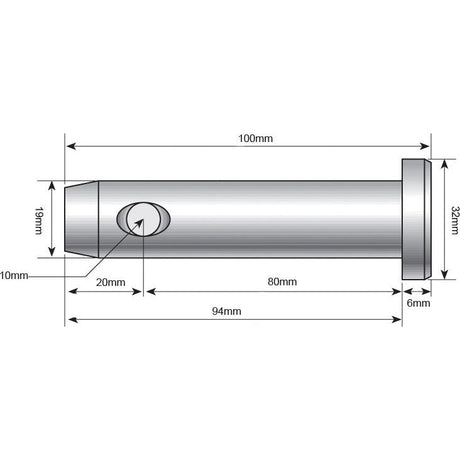 A technical drawing of a cylindrical metal component, resembling the Sparex Loader pin 19x80mm Cat.1 - S.2631, with dimensions: 100mm length, 22mm width, 19mm narrow end width, 6mm depth, and a side hole positioned 80mm from the flat end.