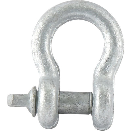 A Sparex Bow Shackle (Sparex Part No. S.27781) with an 11mm screw pin and a size of 10mm, typically used for lifting or rigging applications (available in a pack of 2).