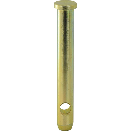 A gold-colored Sparex top link pin (Sparex Part No. S.29231) measuring 19x114mm, featuring a flat 25 mm head and a single hole near the bottom.