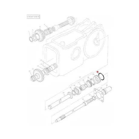 Massey Ferguson - O Ring PTO - 70923816 / 1004633M1 - Farming Parts