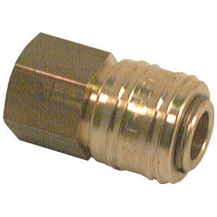 A Sparex Hose Coupling 1/4'' (Sparex Part No. S.31805) featuring a brass quick connect hydraulic hose coupling with a 1/4'' hexagonal nut on one end.