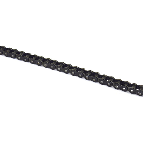 Close-up of a metallic Sparex Drive Chain - Simplex, 120-1 (5M) with interlocking links, spanning diagonally across the image over a white background.