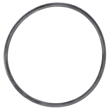 Massey Ferguson - Massey Ferguson - O Ring - 3779319M1 - Farming Parts