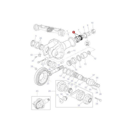 Massey Ferguson - Bearing Differential - 339394X1 - Farming Parts