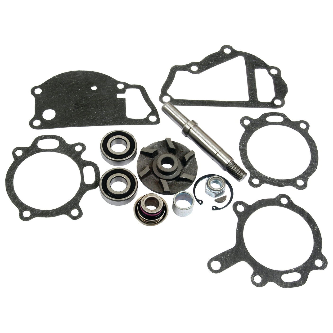 An extensive array of automotive parts, including gaskets, bearings, a shaft, and a gear, meticulously arranged on a white background. Perfect for those working with the Sparex Water Pump Repair Kit (Sparex Part No.S.40047) or tackling projects involving Massey Ferguson equipment.