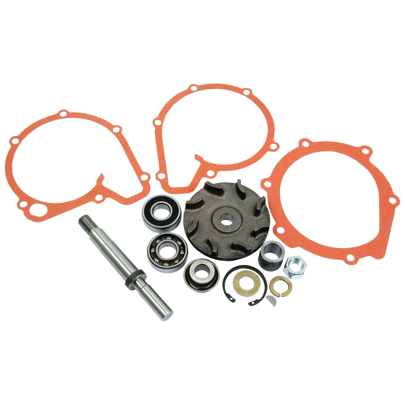 A display of various mechanical parts from the Sparex Water Pump Repair Kit (Sparex Part No. S.40048), including gaskets, bearings, a shaft, nuts, and washers from a Massey Ferguson water pump repair kit, arranged on a white background.