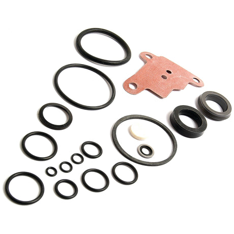 The Seal Kit (Sparex Part No. S.40134) by Sparex, which includes assorted black rubber O-rings and seals in various sizes ideal for cylinder ram repairs, is displayed on a white background alongside a red gasket and a small white felt piece.