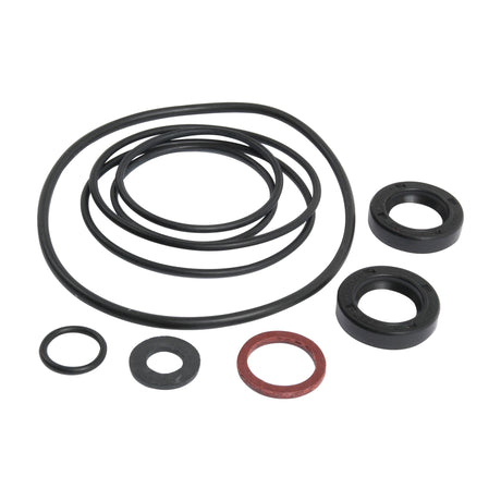 A Seal Kit (Air Equipment Pump) by Sparex (Sparex Part No.S.40153), featuring black and red rubber O-rings and seals, perfect for a Massey Ferguson Plessey Pump, arranged on a white background.