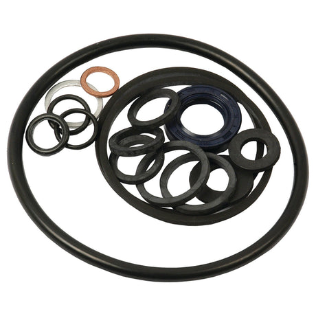 The Seal Kit (Air Equipment Pump), Sparex Part No. S.40154 includes an assortment of rubber O-rings and washers in varying sizes, ideal for use in Massey Ferguson air equipment pumps, neatly arranged on a white background.