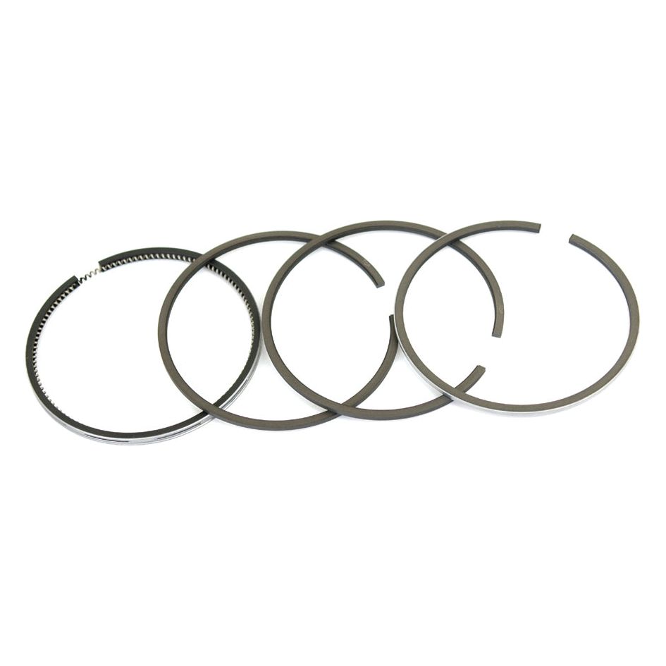 A set of four Sparex S.40419 piston rings, arranged in a partially overlapping line on a white background, showcasing their chrome-plated finish.