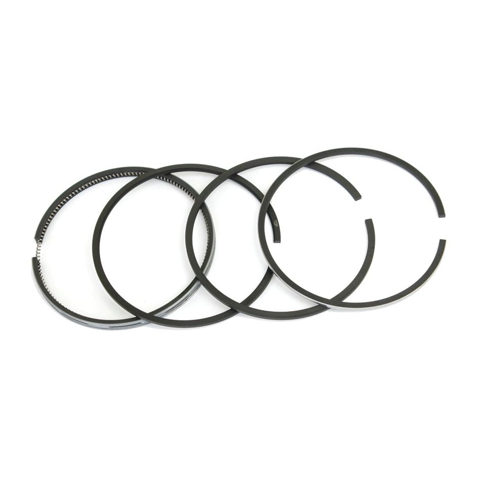 Set of four black Piston Rings (Sparex Part No.S.40420) arranged in a row against a white background, perfect as a ring set for Perkins or Massey Ferguson engines.