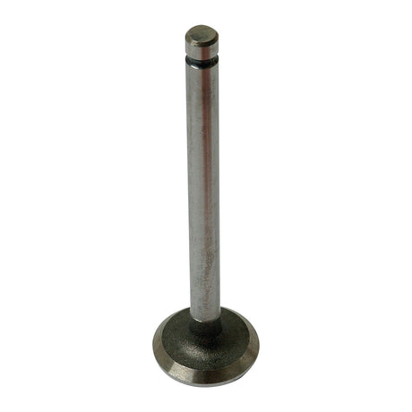 The Sparex Exhaust Valve Standard (Part No. S.40483) stands upright against a plain white background, showcasing its cylindrical stem and rounded base.