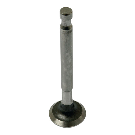 A Sparex Exhaust Valve Standard (Part No. S.40484) by Massey Ferguson stands upright on its circular valve head, featuring a cylindrical stem and a flat tip at the opposite end.