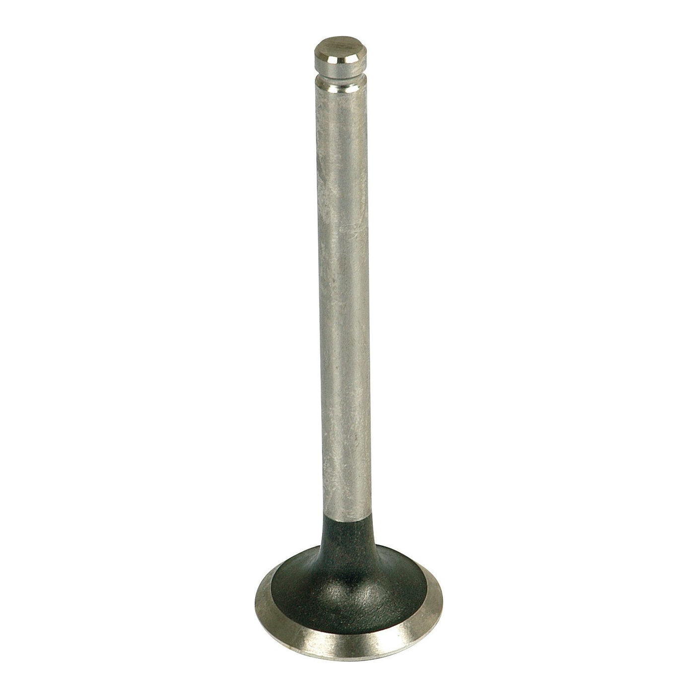 The Exhaust Valve Standard by Sparex (Part No. S.40488) is a metal engine valve with a narrow stem and a wider, flat circular base, designed for Allis Chalmers 170 models.