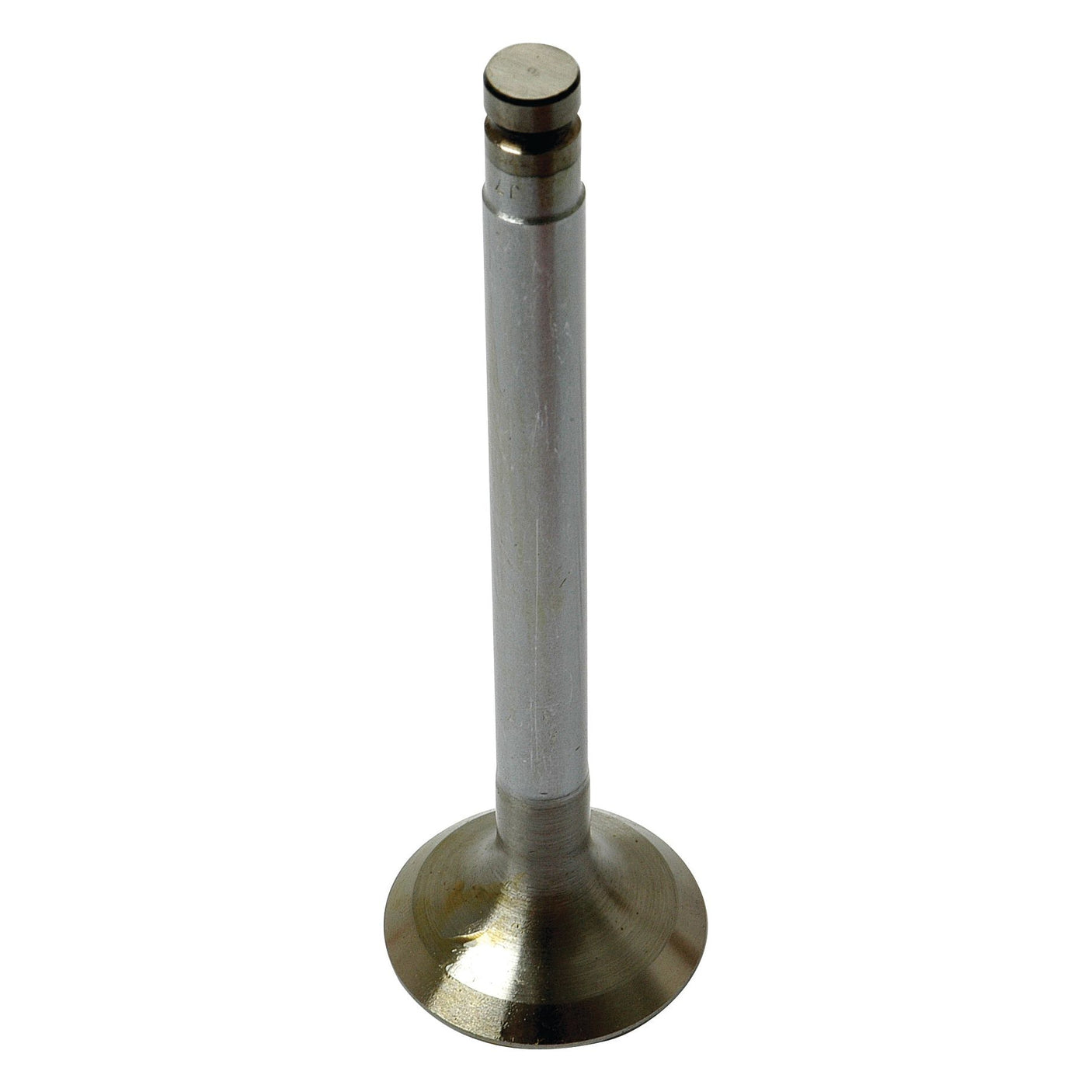 The Sparex Exhaust Valve (Part No. S.40494) for the Allis Chalmers 170 is a metal engine valve that stands upright and features a cylindrical stem with a flat, round base.