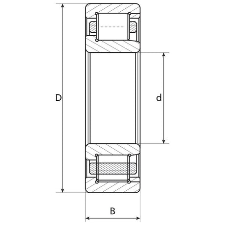 Technical diagram of the Sparex Bearing - S.40782 cylindrical roller bearing with labeled dimensions: outer diameter (D), inner diameter (d), and width (B).