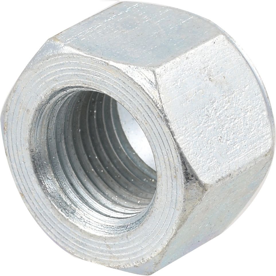 Close-up image of the Sparex Cone Wheel Nut, 11/16'' UNF (Sparex Part No. S.41313), highlighting its six-sided shape and silver finish, typical of a Massey Ferguson or Landini component.