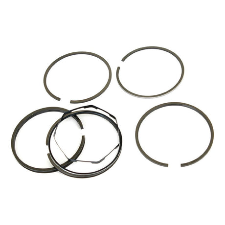 A Sparex Chrome Plated Ring Set (S.41323) consisting of five metal piston rings in various sizes, arranged on a white background.