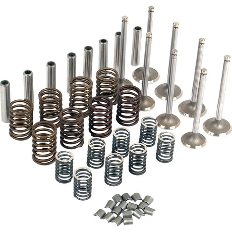 A meticulously arranged Valve Train Kit - S.41590 by Sparex, featuring a set of metal engine components including intake valves, exhaust valves, springs, and valve guides, displayed on a white background.