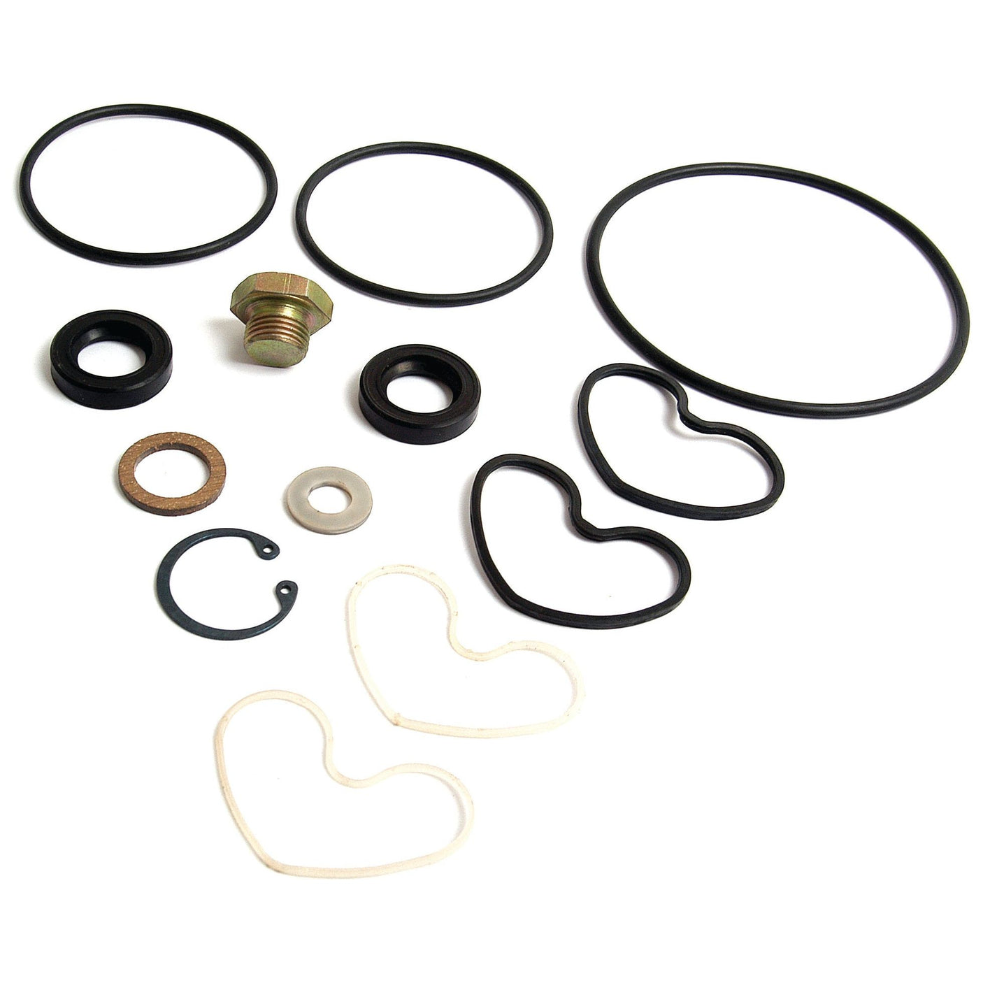 The Seal Kit (Sunstrand Hydratec Pump) by Sparex (Part No. S.41597) is a comprehensive collection that includes a variety of O-rings and gaskets, featuring both traditional round shapes and unique heart-shaped ones, ideal for Massey Ferguson tractors. It also comes with metal washers and a bolt for convenient installation.
