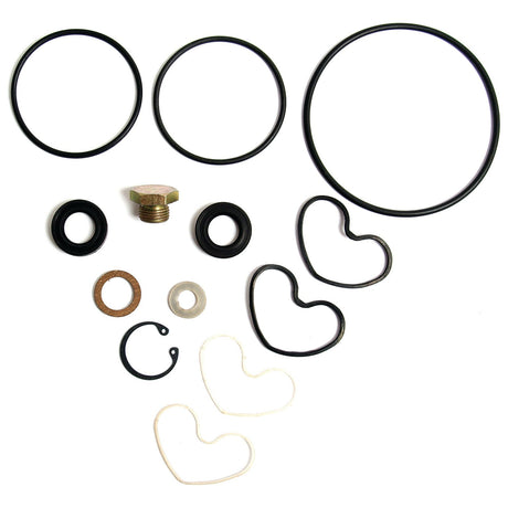 A Seal Kit (Sunstrand Hydratec Pump) from Sparex, Part No. S.41597, displayed on a white background includes an assortment of rubber o-rings, metal washers, and fasteners.